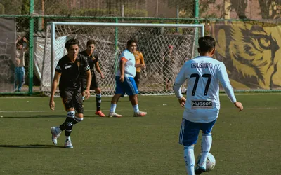 Chelsea Cup Competition Run Analysis 2024