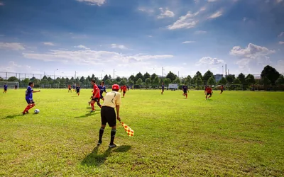 Chelsea Digital Ticketing App Guide