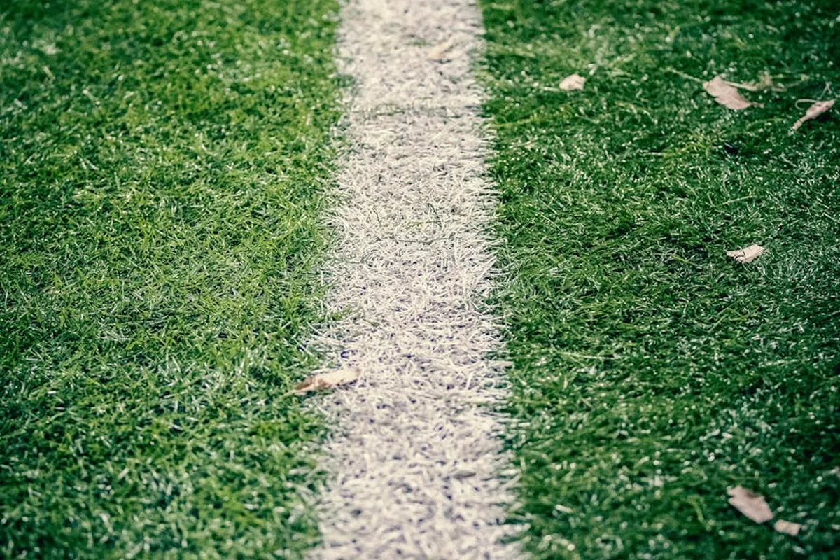 Chelsea Fan Chants Tradition Analysis