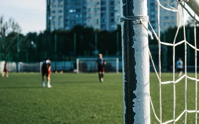 Chelsea Merchandise Buying Guide Official Stores