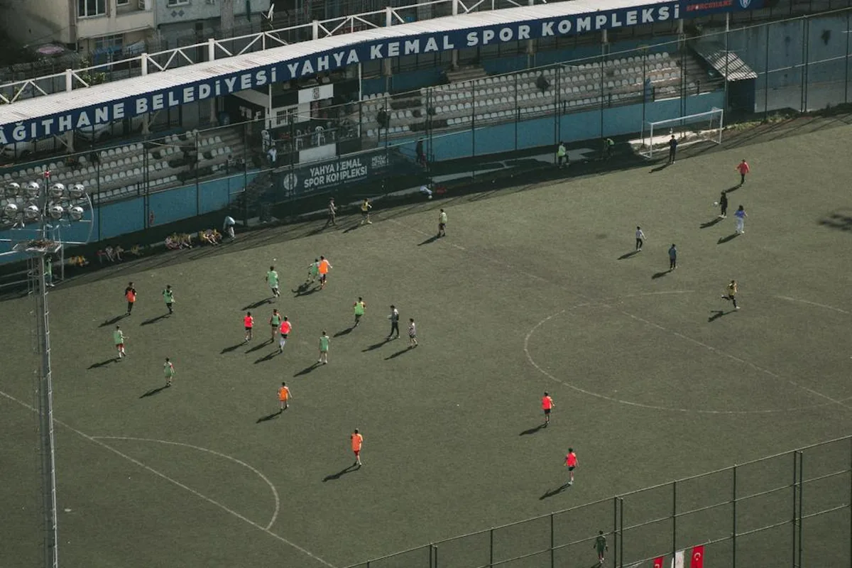 Fan Perspectives Opinions