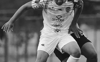 Global Fanbase Growth